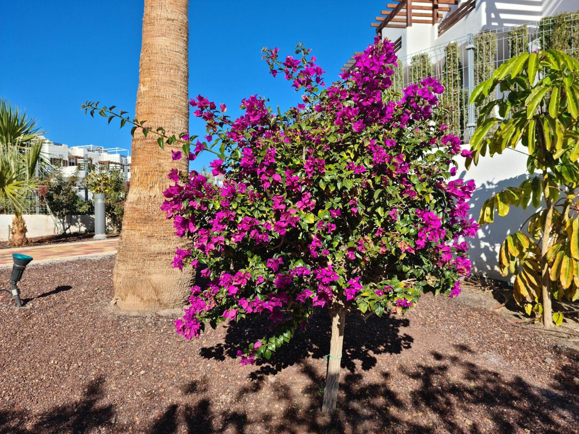 Apartament El Sueno San Juan de los Terreros Zewnętrze zdjęcie