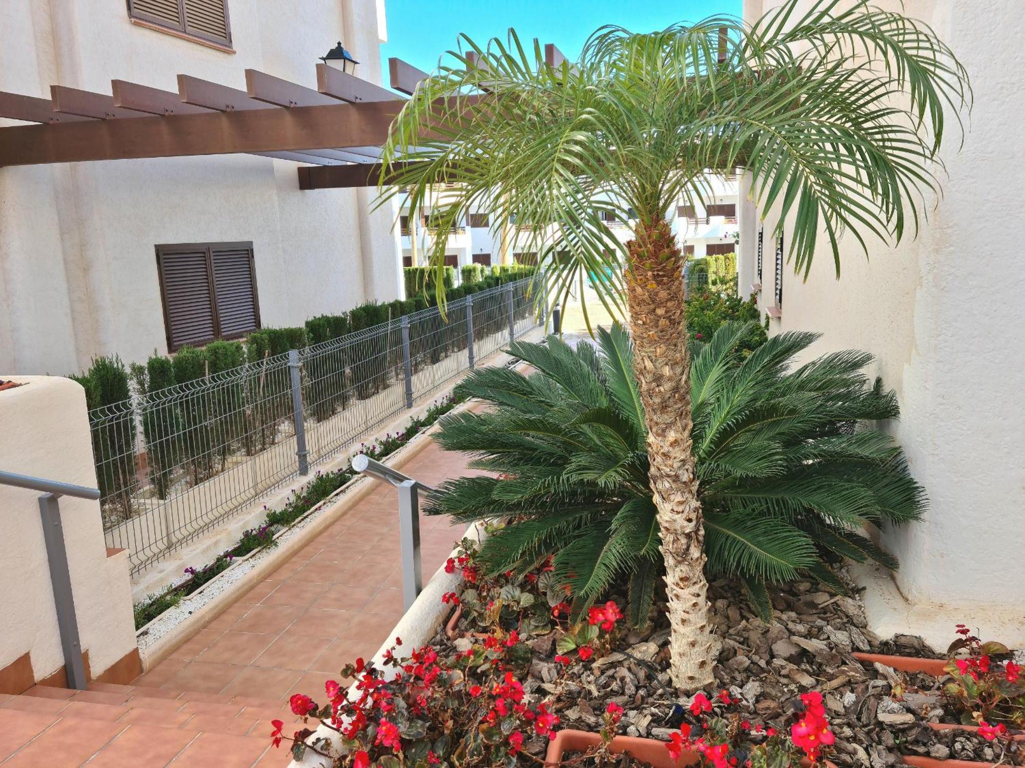 Apartament El Sueno San Juan de los Terreros Zewnętrze zdjęcie